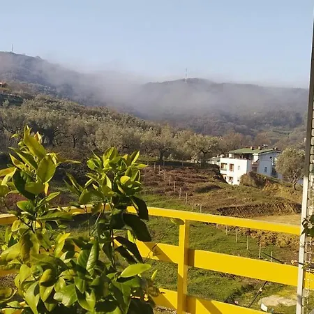 Olive Tree Appartement *