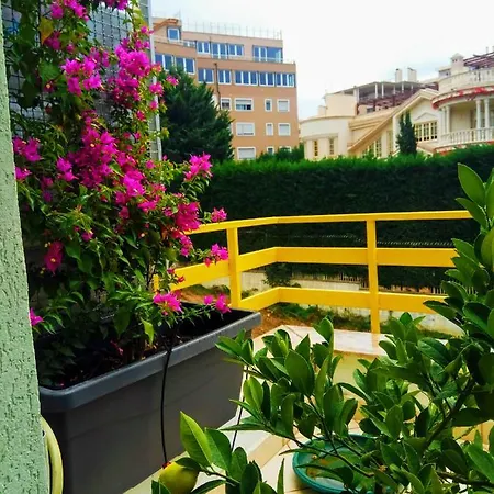 Appartement Olive Tree