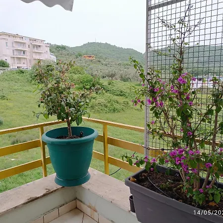 Apartment Olive Tree Tirana