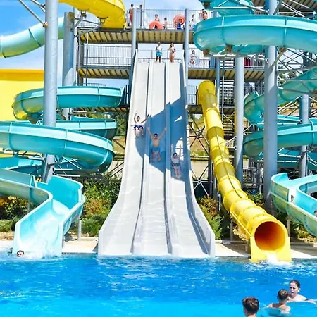 Olive Tree Apartment