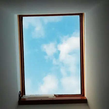 Appartement Olive Tree *