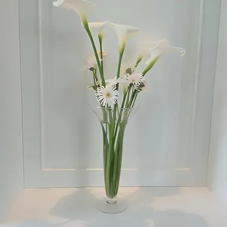 Apartment Olive Tree Tirana