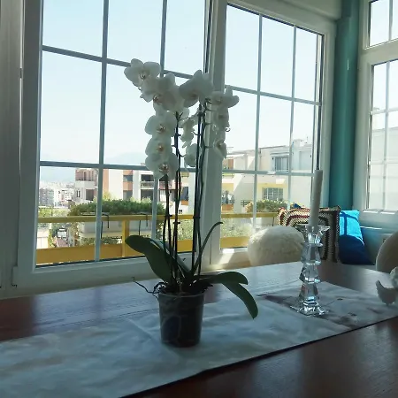 Olive Tree Apartment *