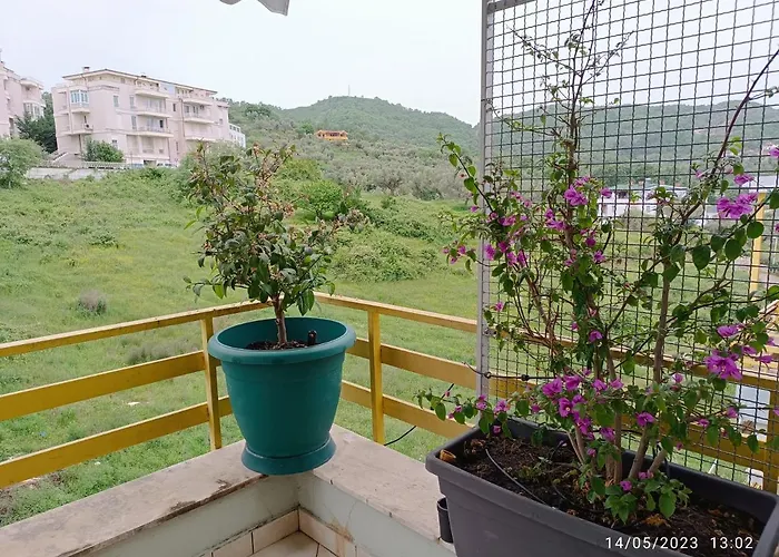 Appartamento Olive Tree Tirana