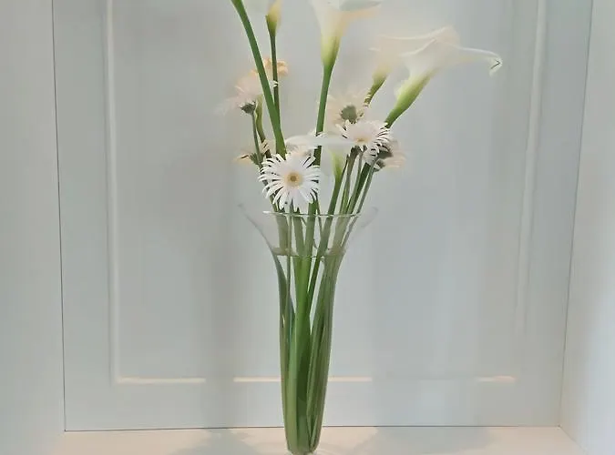 Appartamento Olive Tree Tirana