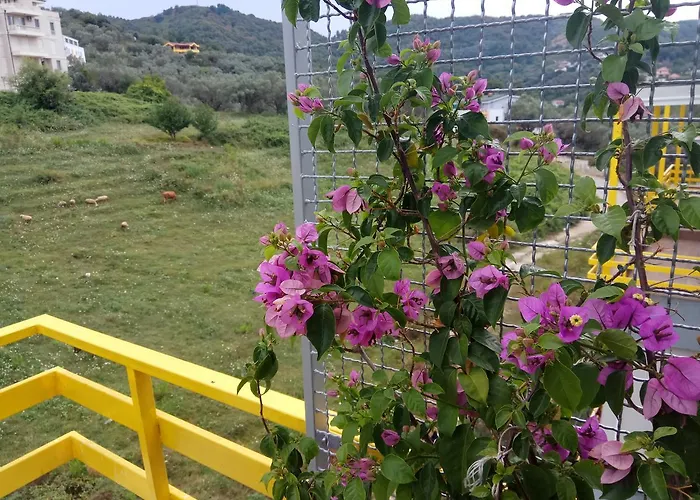 Appartamento Olive Tree