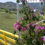 Apartman Olive Tree