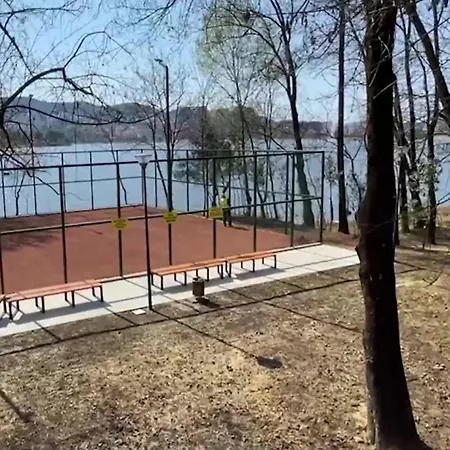 Apartment Olive Tree *