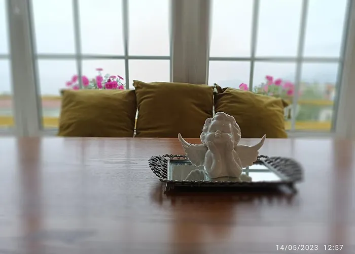 Olive Tree 地拉那